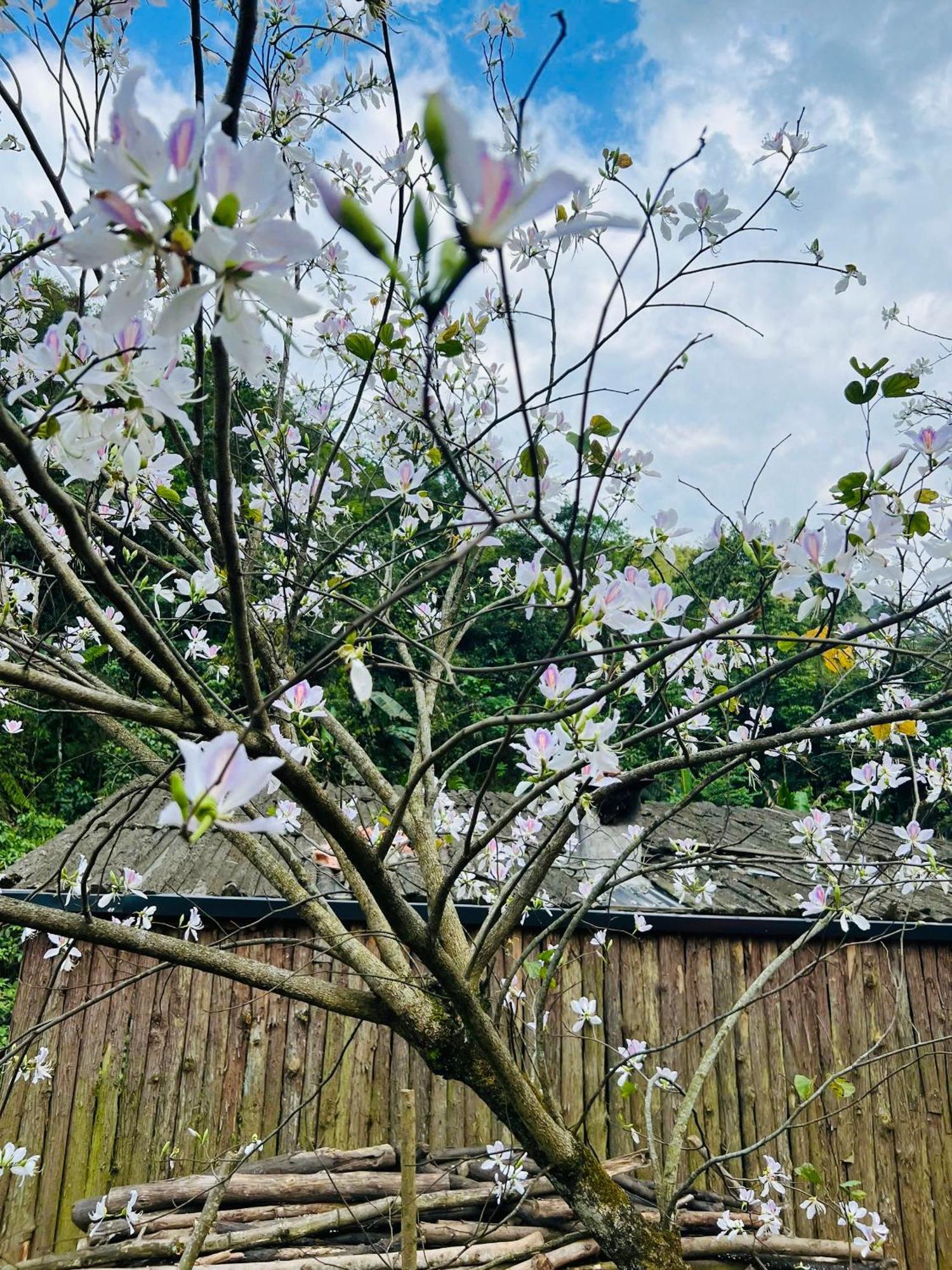 Ngu Chi Son Trekking Sapa Homestay Local Experience エクステリア 写真